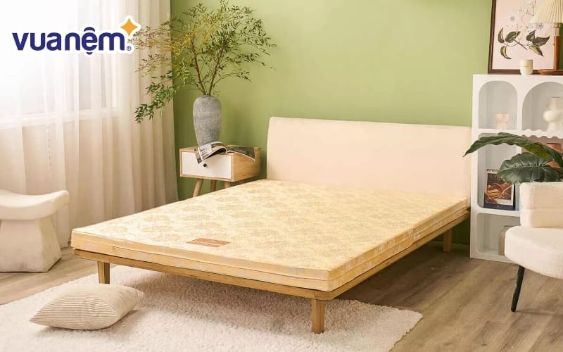 Kinh nghiệm mua đệm bông ép phù hợp