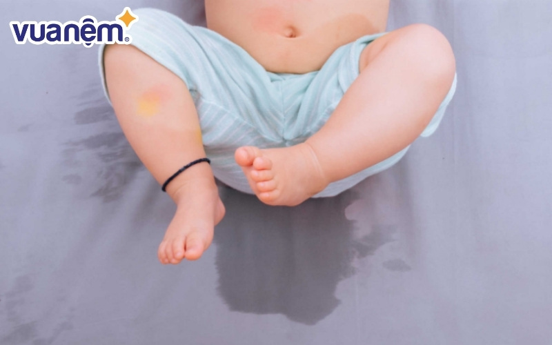 Sử dụng máy sấy để làm sạch vết nước tiểu trên mặt nệm