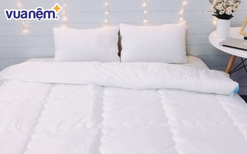 Ruột chăn Basic T220 Sleeping Comfort được nhiều người lựa chọn vì độ an toàn cho người dùng