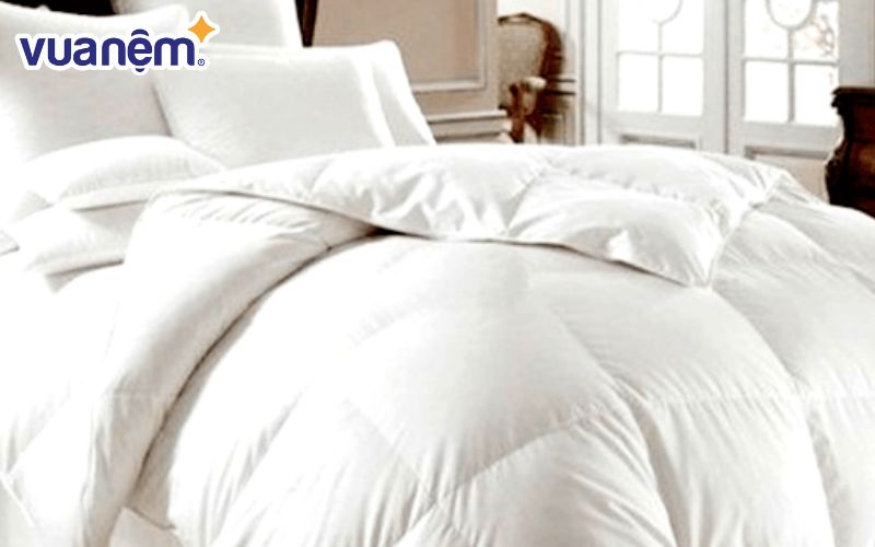 Ruột chăn nặng 3kg, dày dặn nhưng vẫn mềm mại, giữ nhiệt tốt