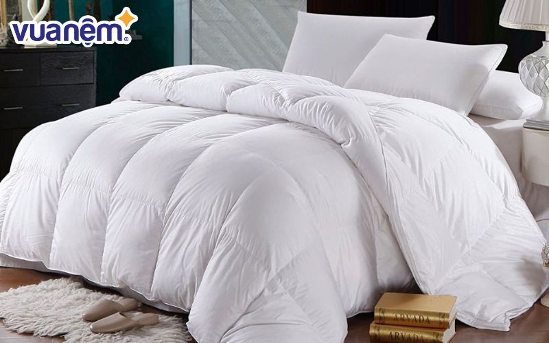 Ruột chăn lông vũ Doona Dream Cloud được đánh giá là phù hợp với thời tiết 4 mùa của Việt Nam