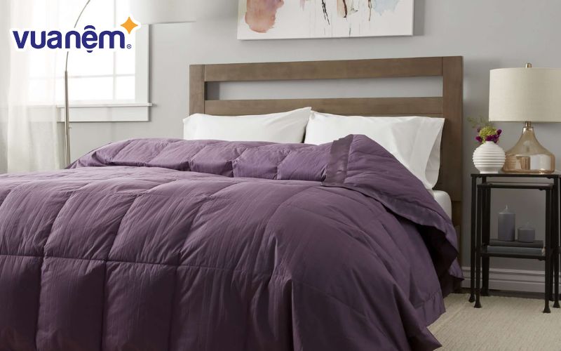 Chọn ruột chăn bông tốt để có một sức khỏe tốt