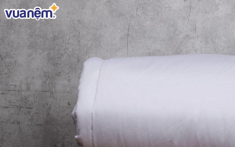 Chọn ruột chăn bông Polyester tốt cho sức khỏe