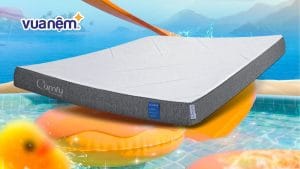 Công nghệ sản xuất nệm foam – Khi bí mật được bật mí!