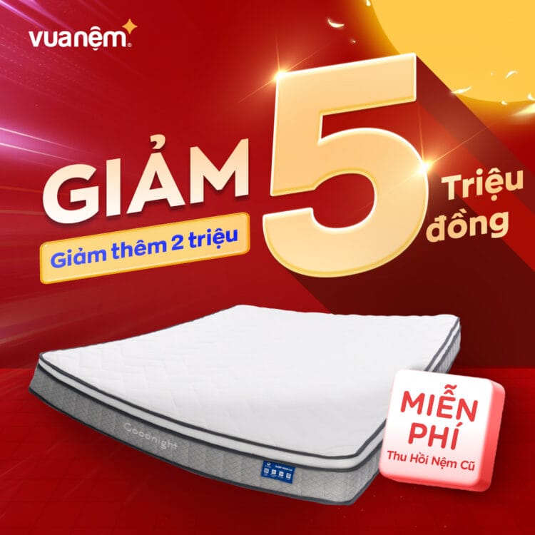 Nệm lò xo Goodnight Sleep Wave