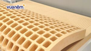 Kinh nghiệm mua nệm cao su chất lượng, phù hợp với sức khỏe