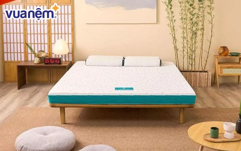 Nệm Aeroflow Standard