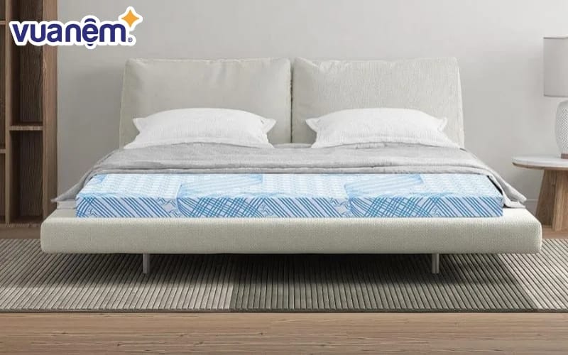 Nệm bông ép Kim Cương Titanium