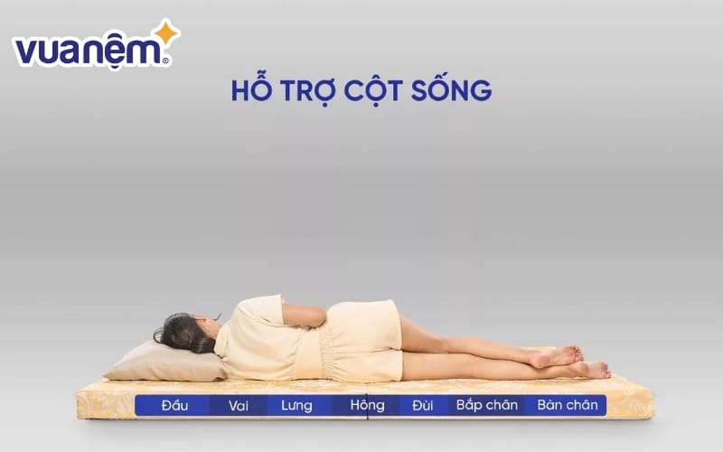 Do nệm cứng nên hỗ trợ cột sống tốt