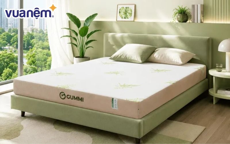 Gummi Hybrid