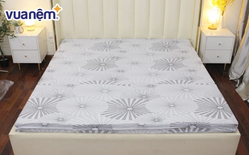 Nệm bông ép bề mặt cao su Olympia