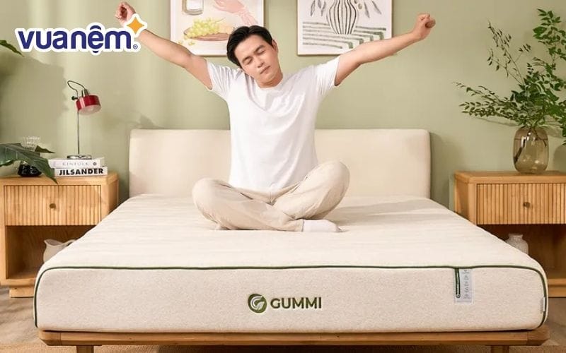 Nệm cao su cân bằng nhiệt Gummi Hybrid Plus