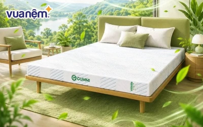 Nệm cao su Gummi Signature công nghệ kép