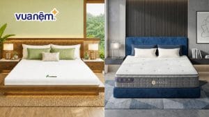Nên chọn mua nệm cao su hay nệm lò xo? So sánh chi tiết