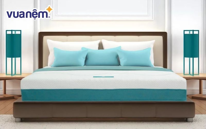 Nệm foam có mức giá bán khá hợp lý với nhiều phân khúc khách hàng