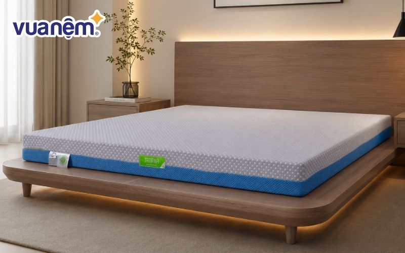 Nệm cao su nhân tạo được ưa chuộng nhờ giá thành rẻ