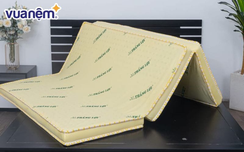 Nệm cao su non Thắng Lợi