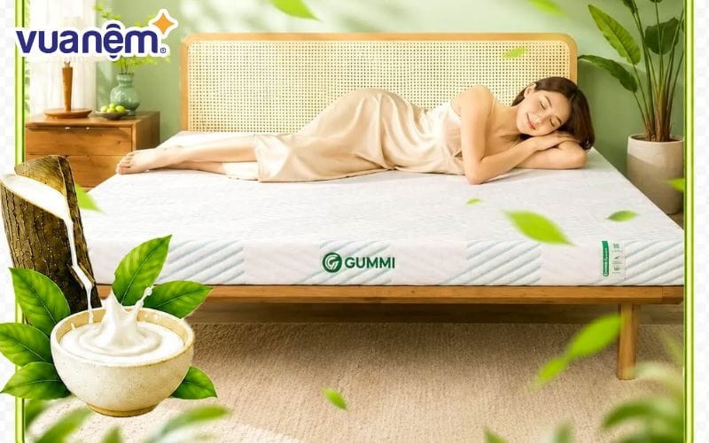 Vua Nệm cung cấp nhiều dòng nệm cao su thiên nhiên chất lượng cao