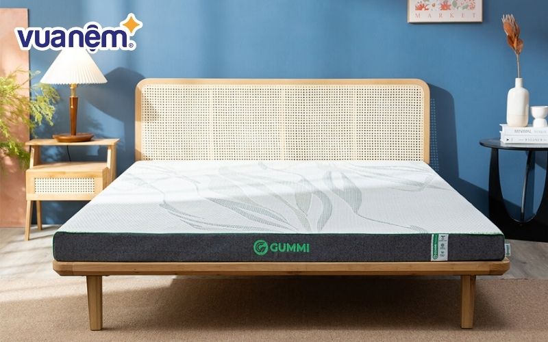 Nệm cao su thiên nhiên có những ưu điểm và nhược điểm riêng