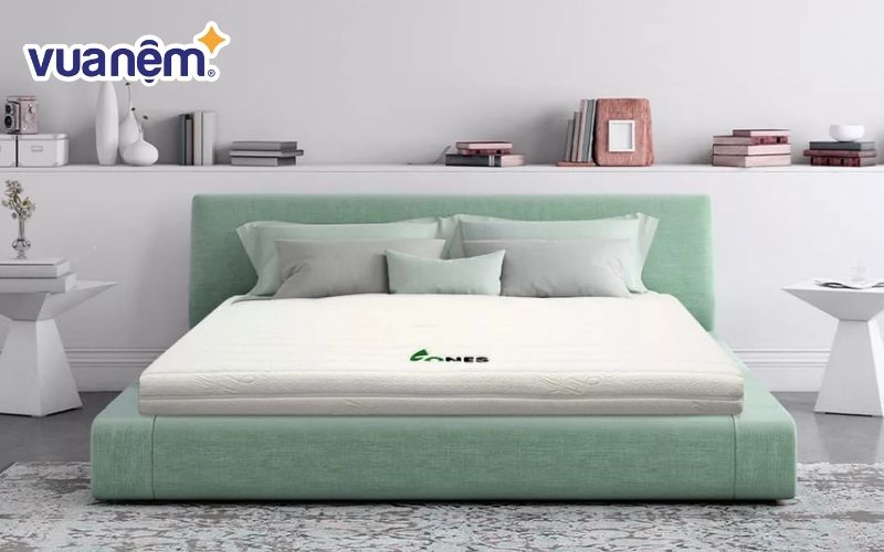 Mua nệm cao su thiên nhiên chính hãng - Ghé Vua Nệm ngay