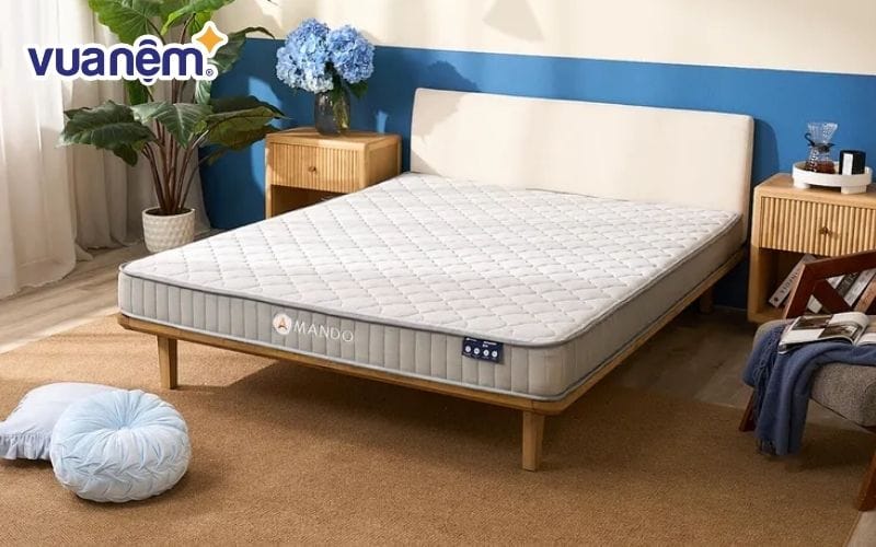 Nệm lò xo túi độc lập Amando Eco