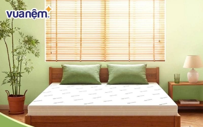 Nệm mỏng trải sàn Gummi Classic với khả năng nâng đỡ tốt