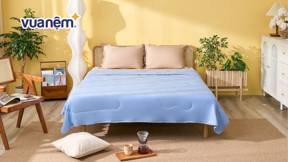 review chăn Amando Ice Silk