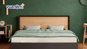 Nệm Gummi Classic của Vua Nệm đạt Top 1 hàng tiêu dùng yêu thích năm 2020