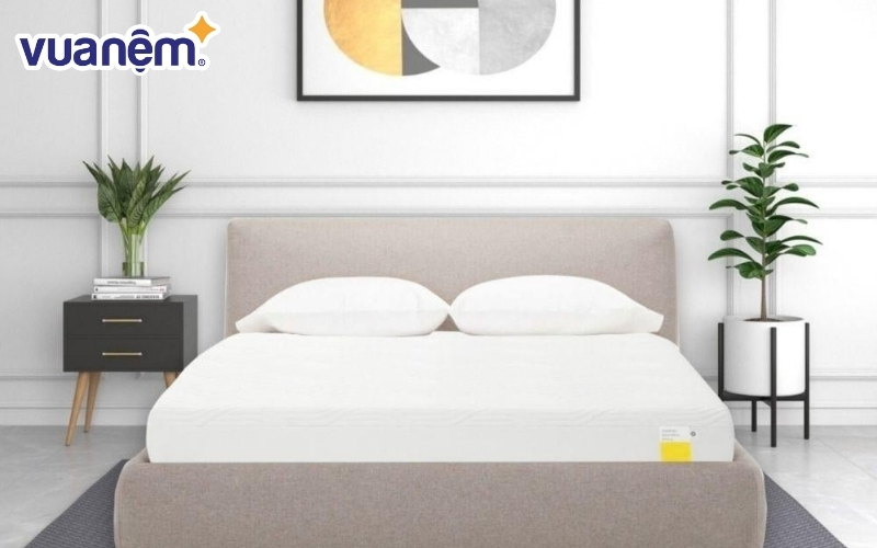 Nệm foam Tempur cao cấp đến từ Mỹ