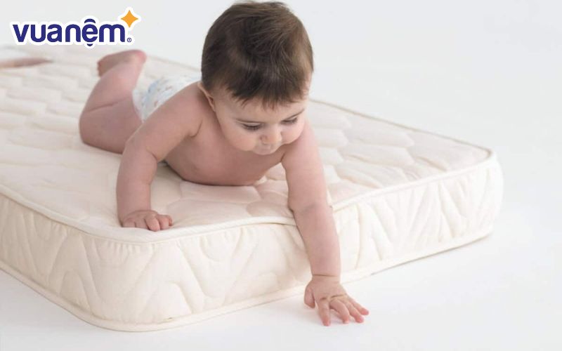 Nền nhà là nơi tiếp xúc với bụi bẩn, vi khuẩn và côn trùng