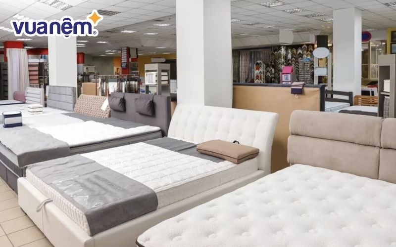 Thị trường nệm trong nước đã có những sự tăng trưởng đáng kể
