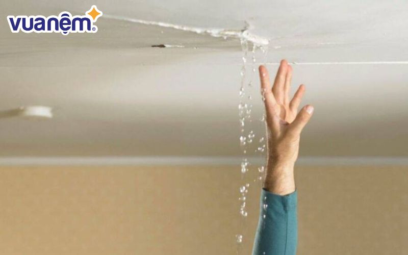 Kiểm tra các nguồn rò rỉ nước để ngăn ngừa ẩm mốc tái phát
