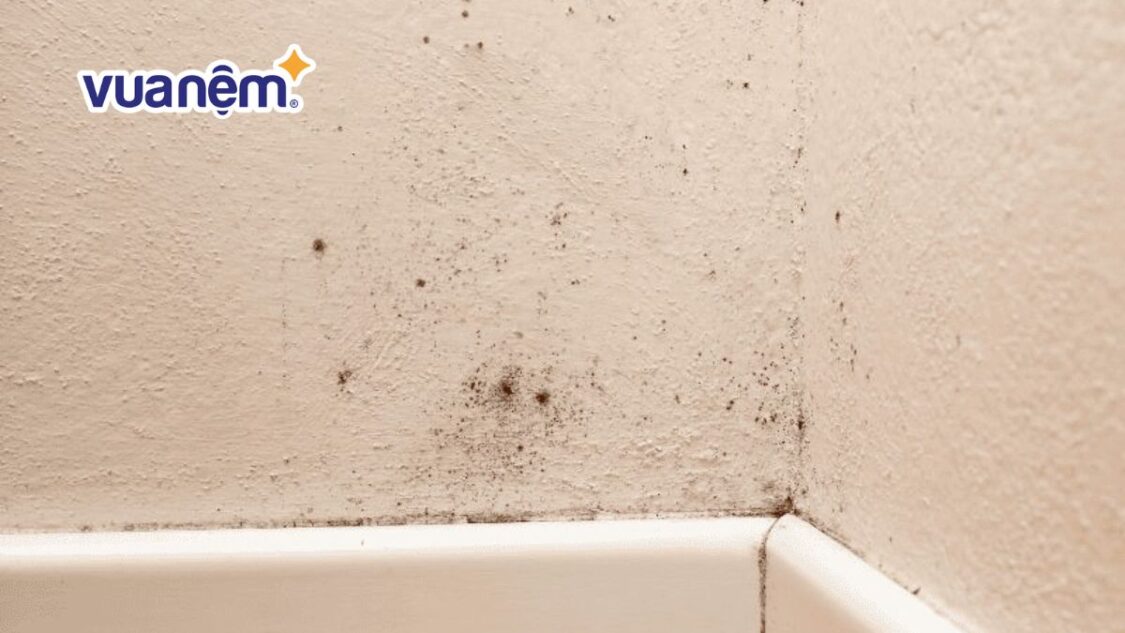 cách xử lý phòng ngủ ẩm mốc