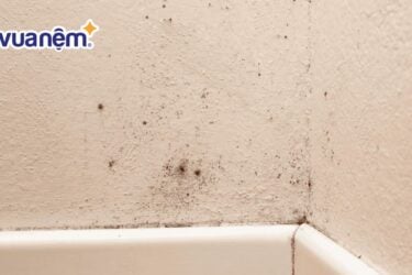 cách xử lý phòng ngủ ẩm mốc