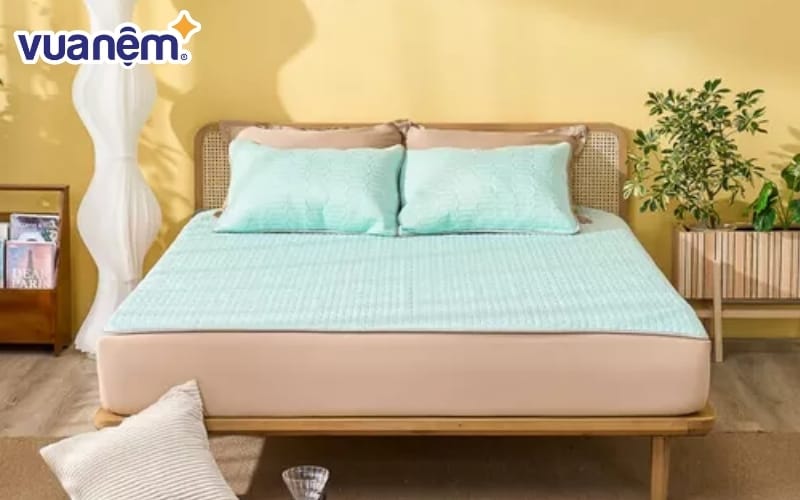 Chiếu điều hòa có thể được giặt bằng tay hoặc máy giặt, nhưng bạn nên chọn chế độ giặt nhẹ