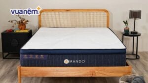 Bảng giá nệm Amando chính hãng cập nhật năm 2026