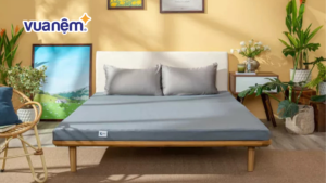 Bảng giá nệm Goodnight chính hãng cập nhật mới năm 2026