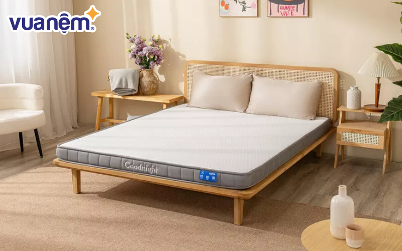 Nệm cao su đa tầng Goodnight Rena