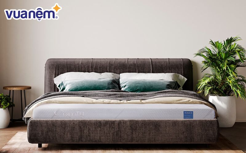 Nệm foam Comfy Cloud 1.0 được ưa chuộng nhờ độ đàn hồi cao, hỗ trợ cột sống tối ưu