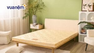 Bảng giá nệm Wonjun cập nhật mới năm 2026