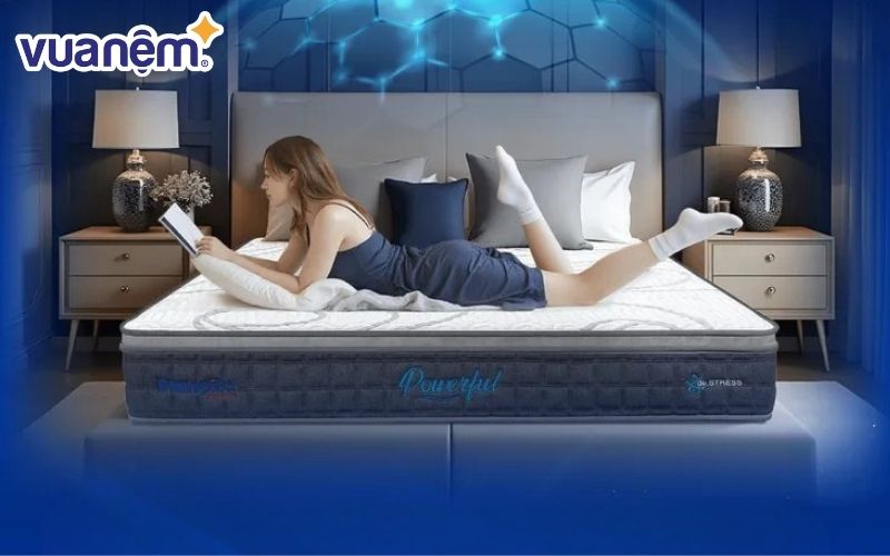 Mua nệm chính hãng tại Vua Nệm