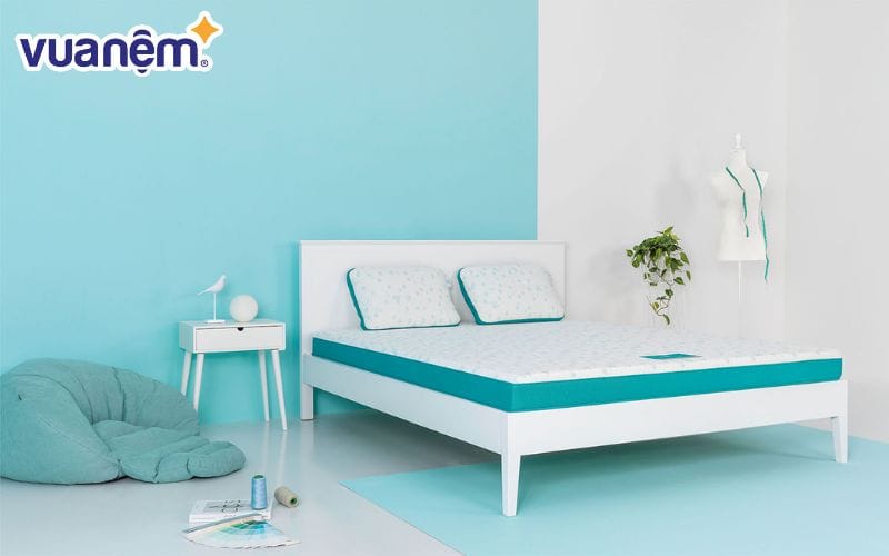 Aeroflow là thương hiệu đến từ Nhật Bản với sản phẩm chủ đạo là nệm foam