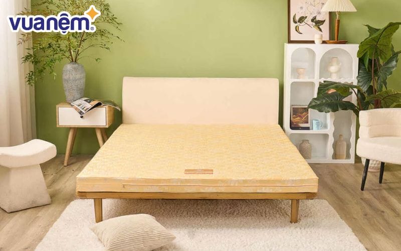 Nệm bông ép mua ở đâu uy tín là thắc mắc của rất nhiều khách hàng