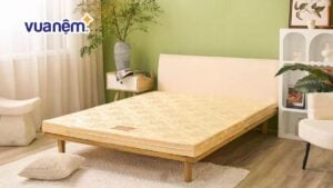 Mua nệm bông ép ở đâu uy tín, chất lượng, giá phải chăng?