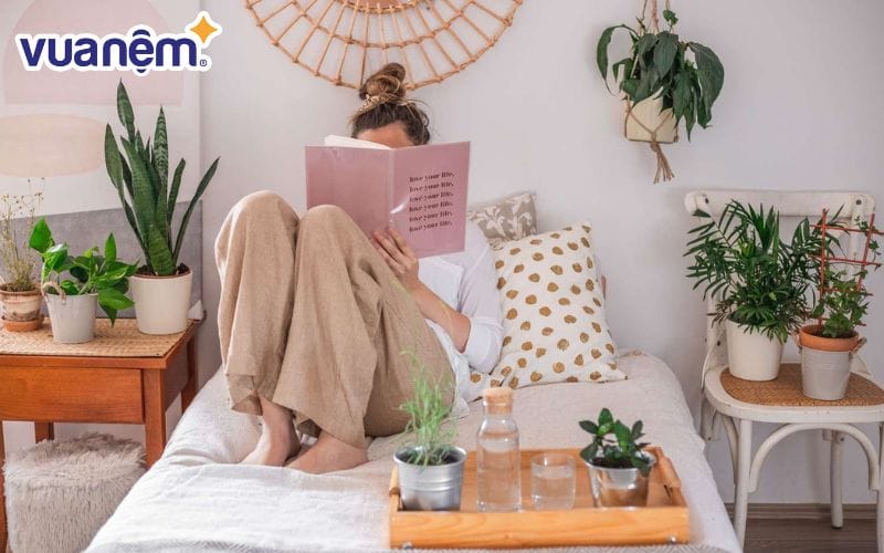 Để cây xanh nhỏ trong phòng ngủ để cải thiện chất lượng không khí