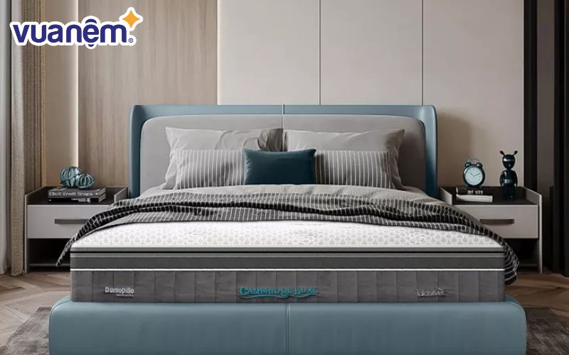 Dunlopillo là thương hiệu cao cấp nổi tiếng với các dòng nệm cao su tự nhiên và lò xo túi độc lập chất lượng cao với mẫu mã sang trọng