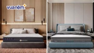 So sánh nệm Amando và nệm Dunlopillo: Nên mua loại nào?