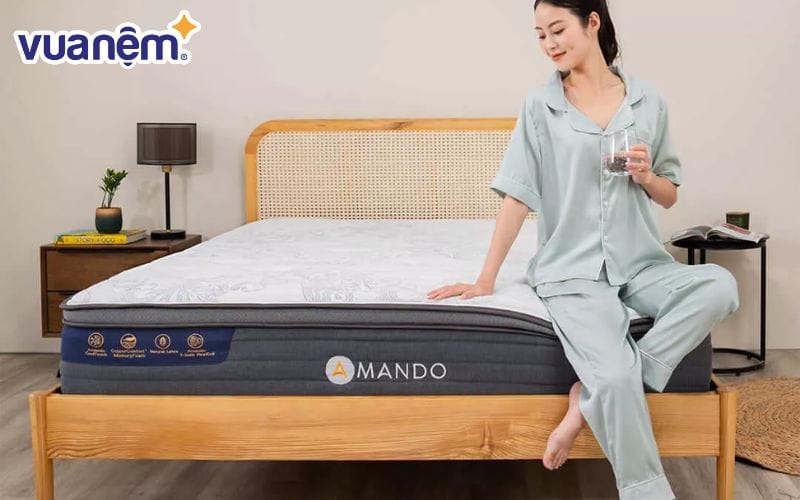 Amando là thương hiệu thuộc hệ sinh thái Vua Nệm, hướng đến đối tượng người dùng phổ thông – trung cấp tại Việt Nam
