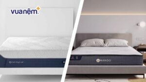 So sánh nệm Amando và Bedgear: Loại nệm nào đáng được chọn?