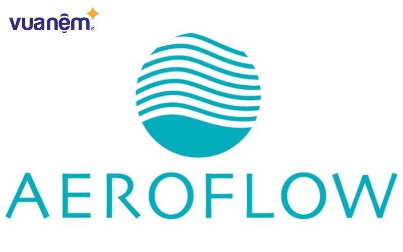 Aeroflow, được phát triển bởi Tập đoàn INOAC Nhật Bản